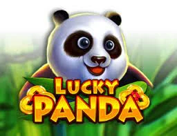 lucky panda