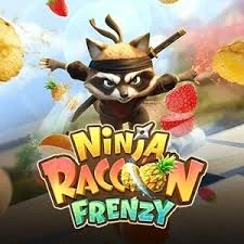 ninja raccon frenzy