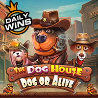 THE DOG HOUSE -  Dog or Alive